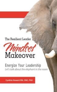 Mindset Makeover Energize leadership cover