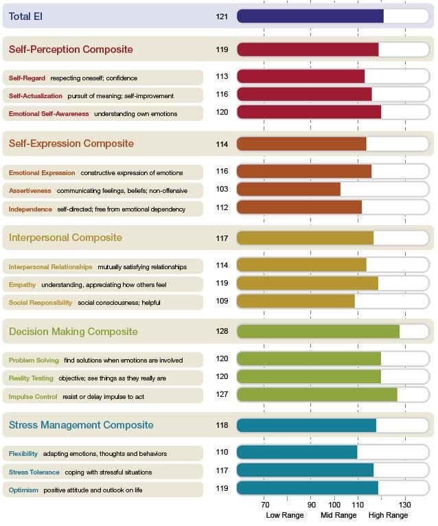 sample EQi report 2